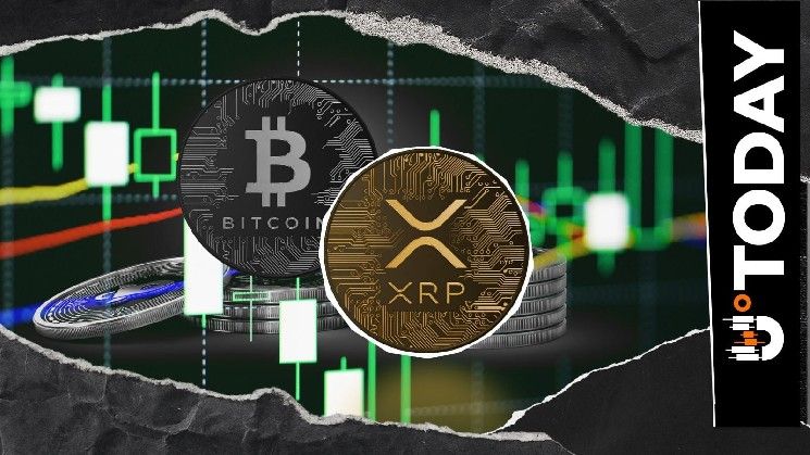 سيناريو السوبر سايكل لـ XRP لم ينته بعد: مؤشر بولينجر بانز يحافظ على إمكانية صعود 56% مقابل البيتكوين