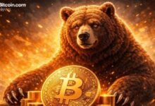 بيتر براندت يحذر من إشارة بيع البيتكوين مع اكتمال القناة الهبوطية