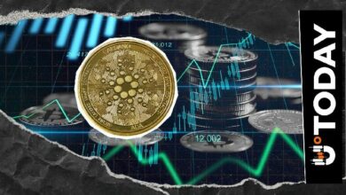 أكبر عنوان في كاردانو يحتفظ بـ 1.93 مليار ADA: ما السر وراء هذه الحصة الضخمة؟