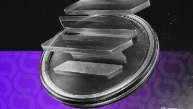 شركة خزانة سولانا تُحمِّل "القناص" مسؤولية تداولات عملات الميم المشبوهة