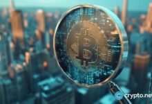 البيتكوين مصمم ليبقى، وفقًا للمتداول ماين: العملات البديلة "إما نزفت أو ماتت"