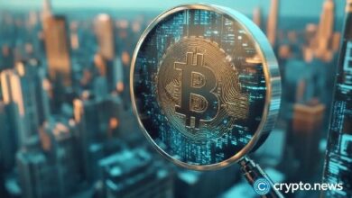 البيتكوين مصمم ليبقى، وفقًا للمتداول ماين: العملات البديلة "إما نزفت أو ماتت"
