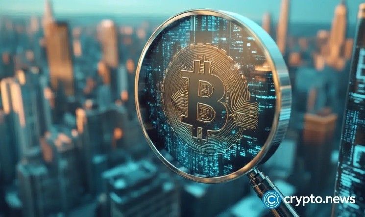 البيتكوين مصمم ليبقى، وفقًا للمتداول ماين: العملات البديلة "إما نزفت أو ماتت"