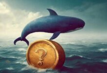 كشف العملات البديلة العشر التي تتجه إليها الحيتان بكثافة – عملتان متميزتان على وجه الخصوص