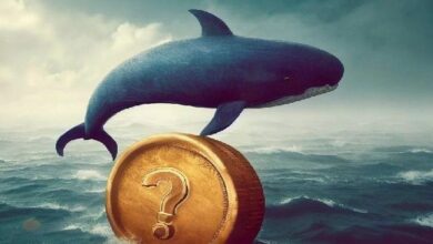 كشف العملات البديلة العشر التي تتجه إليها الحيتان بكثافة – عملتان متميزتان على وجه الخصوص