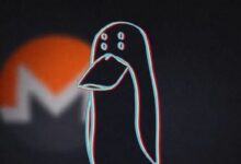 زاك إكس بي تي يكشف عن تبييض 282 مليون دولار من سرقة البيتكوين واللايت كوين عبر مونيرو