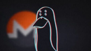 زاك إكس بي تي يكشف عن تبييض 282 مليون دولار من سرقة البيتكوين واللايت كوين عبر مونيرو