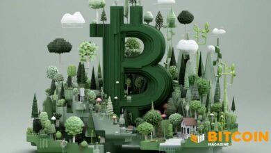 شركة Strive ($ASST) تخطط لإصدار تابع بقيمة 150 مليون دولار لشراء المزيد من البيتكوين وسندات قابلة للتحويل