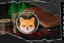 تحويل 17.5 مليار SHIB إلى التخزين البارد في أكبر بورصة عالمية