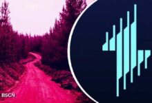 إيكيلون تكشف عن "الطريق إلى إطلاق الرمز المميز": ما الذي تتوقعه