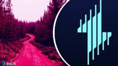 إيكيلون تكشف عن "الطريق إلى إطلاق الرمز المميز": ما الذي تتوقعه