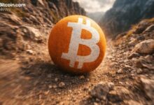 البيتكوين يهوي تحت 92 ألف دولار مع عمليات بيع الأحد تتسبب في تصفيات بمئات الملايين