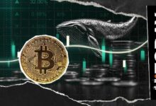 مليارات تتدفق: شراء 2.76 مليار دولار من البيتكوين في أيام قليلة.. ما الذي يخطط له الحيتان؟