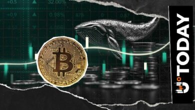 مليارات تتدفق: شراء 2.76 مليار دولار من البيتكوين في أيام قليلة.. ما الذي يخطط له الحيتان؟