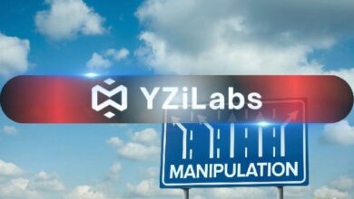 مختبرات YZi تشدد الصراع على الحوكمة بسبب صلات مديرها برأس المال 10X