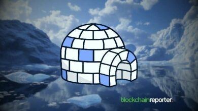 عملات PENGU و APE تهيمن على التفاعل الاجتماعي للـNFT مع نشاط مجتمعي يعزز قوة السوق