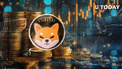 26.47 مليار SHIB تعود إلى المنطقة الإيجابية مع إشارة مؤشر رئيسي إلى صحوة قوية