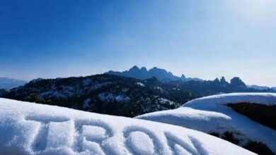 ترون تدمج Blockaid لتوفير أمن فوري على السلسلة لأحد أكبر شبكات الويب 3