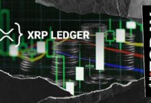 1.8 مليون معاملة يوميًا: شبكة XRP تظهر نموًا رئيسيًا وفقًا لأحدث التقارير