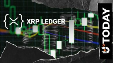 1.8 مليون معاملة يوميًا: شبكة XRP تظهر نموًا رئيسيًا وفقًا لأحدث التقارير
