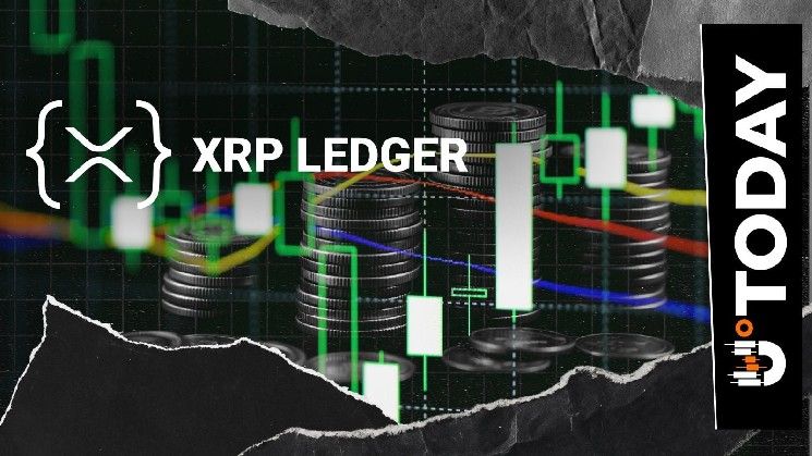1.8 مليون معاملة يوميًا: شبكة XRP تظهر نموًا رئيسيًا وفقًا لأحدث التقارير