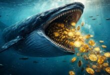 ذوبان ذعر حيتان البيتكوين: ضغط البيع على بينانس يهوي بشكل حاد