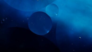 مانتل تدمج منصة إنفينكس للتمويل اللامركزي (دي فاي)