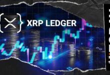 رئيس عمليات دفتر حسابات XRP يوضح محورًا رئيسيًا لاستدامة الشبكة: التفاصيل الكاملة