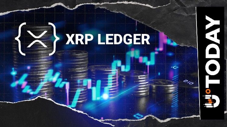 رئيس عمليات دفتر حسابات XRP يوضح محورًا رئيسيًا لاستدامة الشبكة: التفاصيل الكاملة