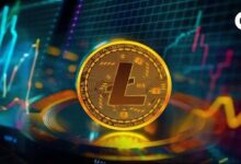 لايتكوين تدخل مرحلة حاسمة مع خطط تعزيز فائدة الشبكة