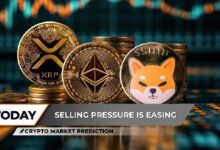 مراجعة سوق العملات الرقمية: شذوذ سوق XRP، وإيثريوم عند نقطة تحول 3300 دولار، وإمكانية شيبا إينو بتريليون وحدة