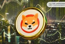 مؤشرات إيجابية لـ Shiba Inu مع اختفاء 29,169,846 SHIB من البورصات خلال 24 ساعة
