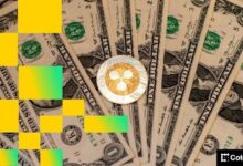 مُتداول في بوليماركت يجني 233 ألف دولار من أسواق XRP خلال خطوة جريئة نهاية الأسبوع ويتفوق على التداول الآلي