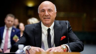 كيفين أو ليري من "شارك تانك" يراهن على مراكز البيانات الضخمة ويتنبأ باختفاء معظم العملات الرقمية للأبد