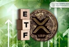 صناديق XRP المتداولة تشهد أكبر سحب يومي في تاريخها
