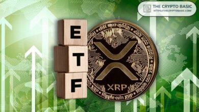 صناديق XRP المتداولة تشهد أكبر سحب يومي في تاريخها