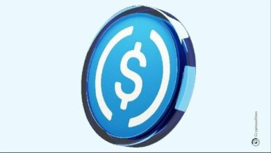 "سيركل": العملات المستقرة المنظمة قد تشكل طبقة تسوية عالمية جديدة