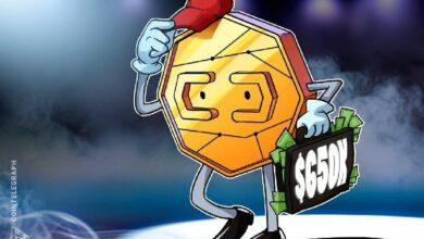 "باراديكس" تعيد 650 ألف دولار لـ 200 مستخدم بعد خلل فني يتسبب في تصفية مراكزهم