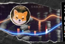 فريق شيبا إنو يطمئن المتابعين: دورة العملة المشفرة لم تنتهِ بعد