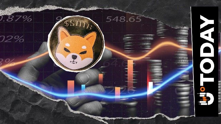 فريق شيبا إنو يطمئن المتابعين: دورة العملة المشفرة لم تنتهِ بعد