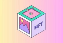 محفظة سيوه الشخصية للرموز غير القابلة للاستبدال تشهد انهياراً بنسبة 80٪