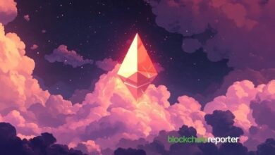سويس بورج تعزز وصول النظام البيئي لـ Base عبر دمج USDC و ETH الأصليين