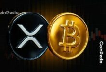 هل يمكن لـ XRP أن يتفوق على البيتكوين؟ محلل يحذر من أزمة سيولة عالمية