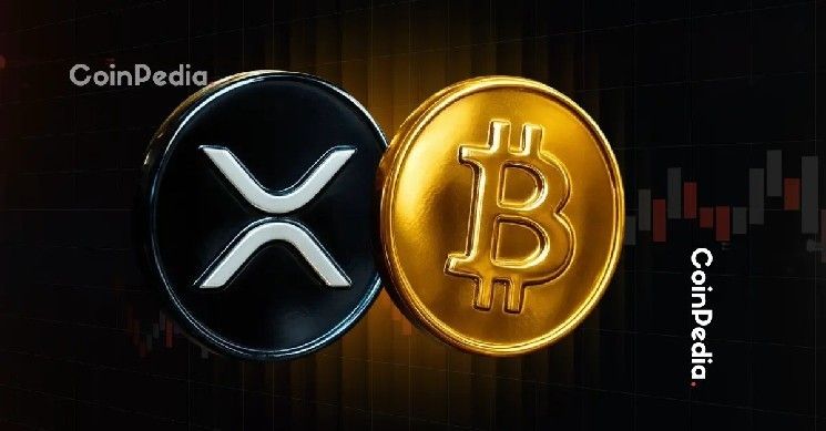 هل يمكن لـ XRP أن يتفوق على البيتكوين؟ محلل يحذر من أزمة سيولة عالمية