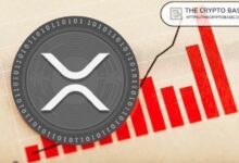 البيانات تكشف: 45% من محافظ XRP تحتوي على أقل من 100 عملة
