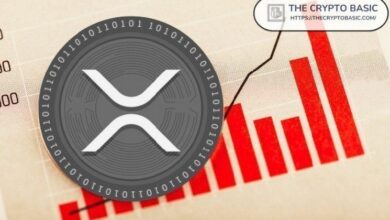 البيانات تكشف: 45% من محافظ XRP تحتوي على أقل من 100 عملة