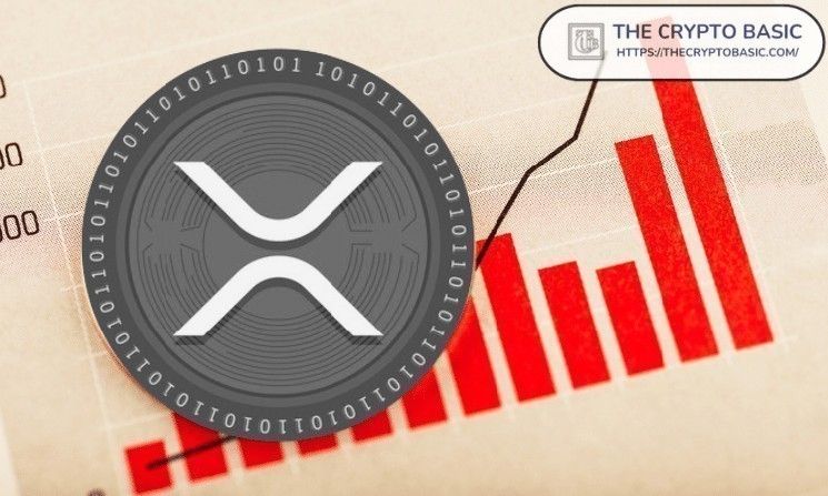 البيانات تكشف: 45% من محافظ XRP تحتوي على أقل من 100 عملة