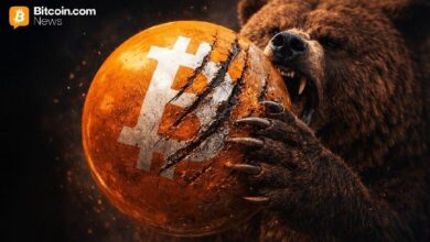 من الازدهار إلى التلاشي: بيتكوين تنزلق نحو المنطقة الهبوطية