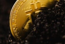 السلطات الروسية تغلق مزرعة تعدين عملات رقمية متنقلة تعمل بالطاقة المسروقة