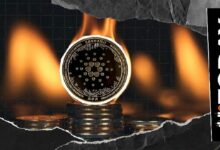 "كاردانو على النار": 5 تحركات كبرى تُلهب التوقعات الصعودية لعام 2026